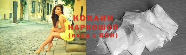 дмт Козельск