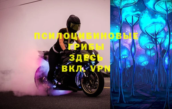 mix Гусев