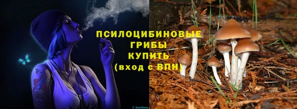 mix Гусев