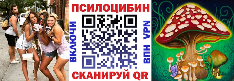 Галлюциногенные грибы мицелий что такое наркотик Изобильный