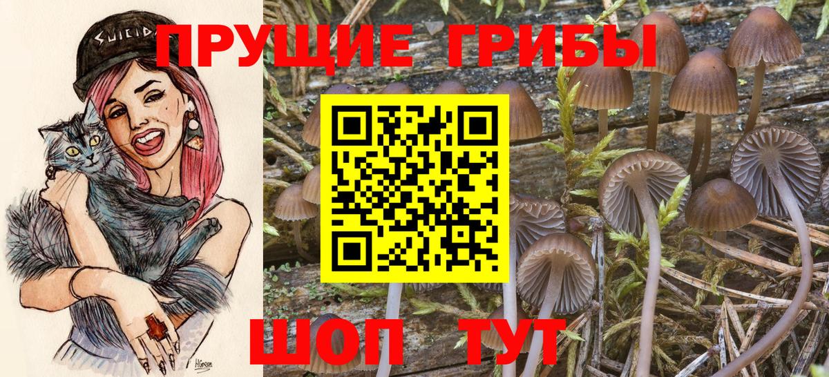 Галлюциногенные грибы Psilocybine cubensis  Вход с VPN  Изобильный 